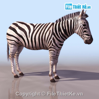 Đồ họa 3d max,Model 3d,động vật 3D